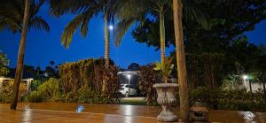 Nido de Pajaros con Pileta